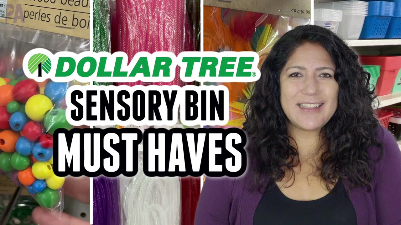 dollar tree sensory bin